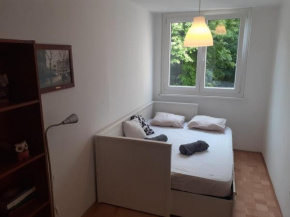 Apartment New Belgrade